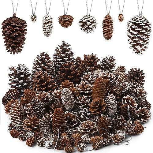 Fovths 66 Pieces Christmas Pine Cones Ornaments with String Natural
