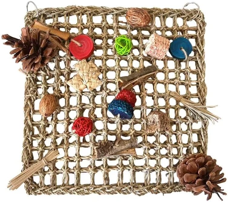 CAMITER Bird Toys, parrot toys, Bird Foraging Wall Toy with Hanging ... - Parrot Toys With Hooks For Cage Walls