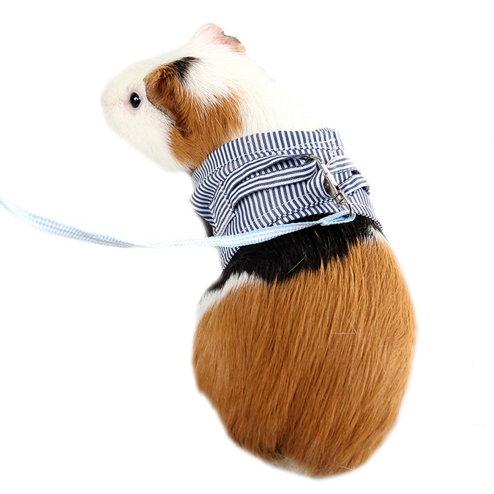 Schattige konijnen kleding verstelbaar konijn harnas riem konijn harnas riem comfortabel katoenen vest met elastisch touw voor kleine dieren, konijn, fret, cavia, konijn, hamster, wandelen (grijs, S
