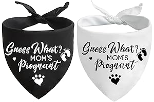 Guess What? My Mom is Pregnant Pregnancy Reveal Husband