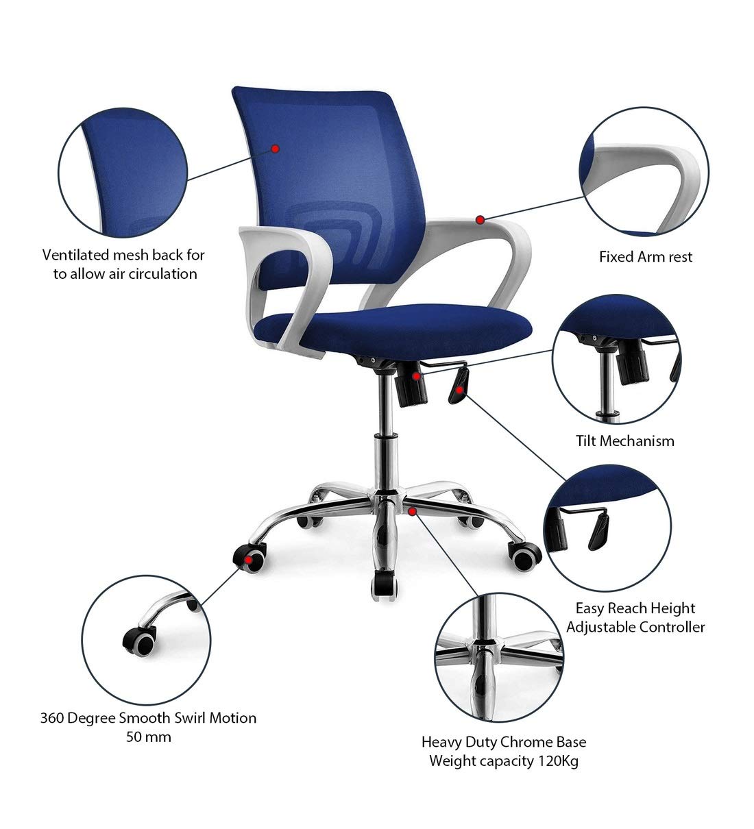Finch Fox Low Back Royal Ergonomic White Body Desk Mesh Office Chair in Blue Colour 2