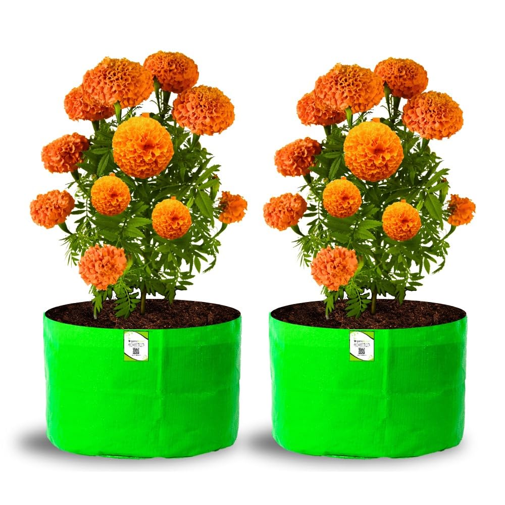 Big Fruit Plant Grow Bags - Organic Bazar (Pack of 2) -32 Big Fruit Plant Grow Bags - Organic Bazar (Pack of 2) -32