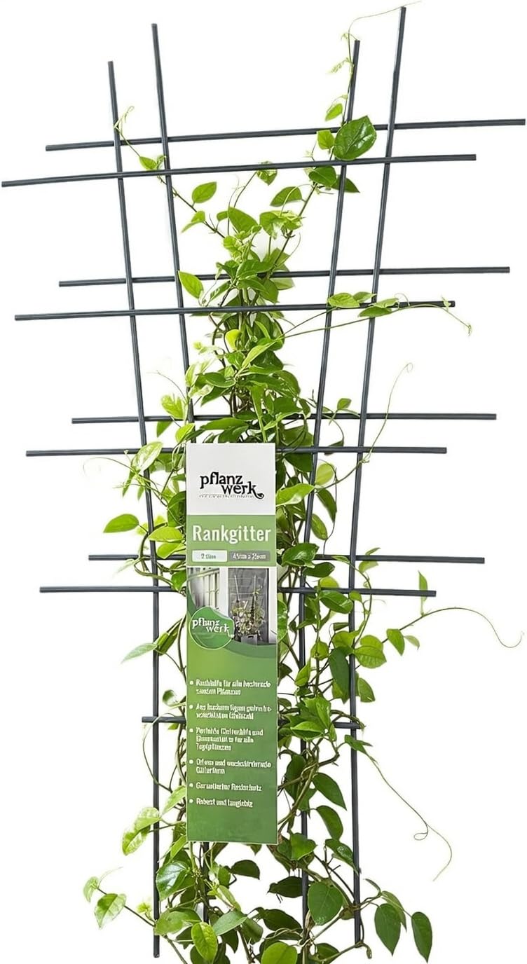 Pflanzwerk Pflanzkübel Rankgitter - 2 Stück - 78x35cm Pflanzen Rankhilfe Blumen Rosen Kletterhilfe 100% ROSTFREI - 100% WURZELSCHUTZ - 100% UV-Schutz - 10 Jahre GARANTIE
