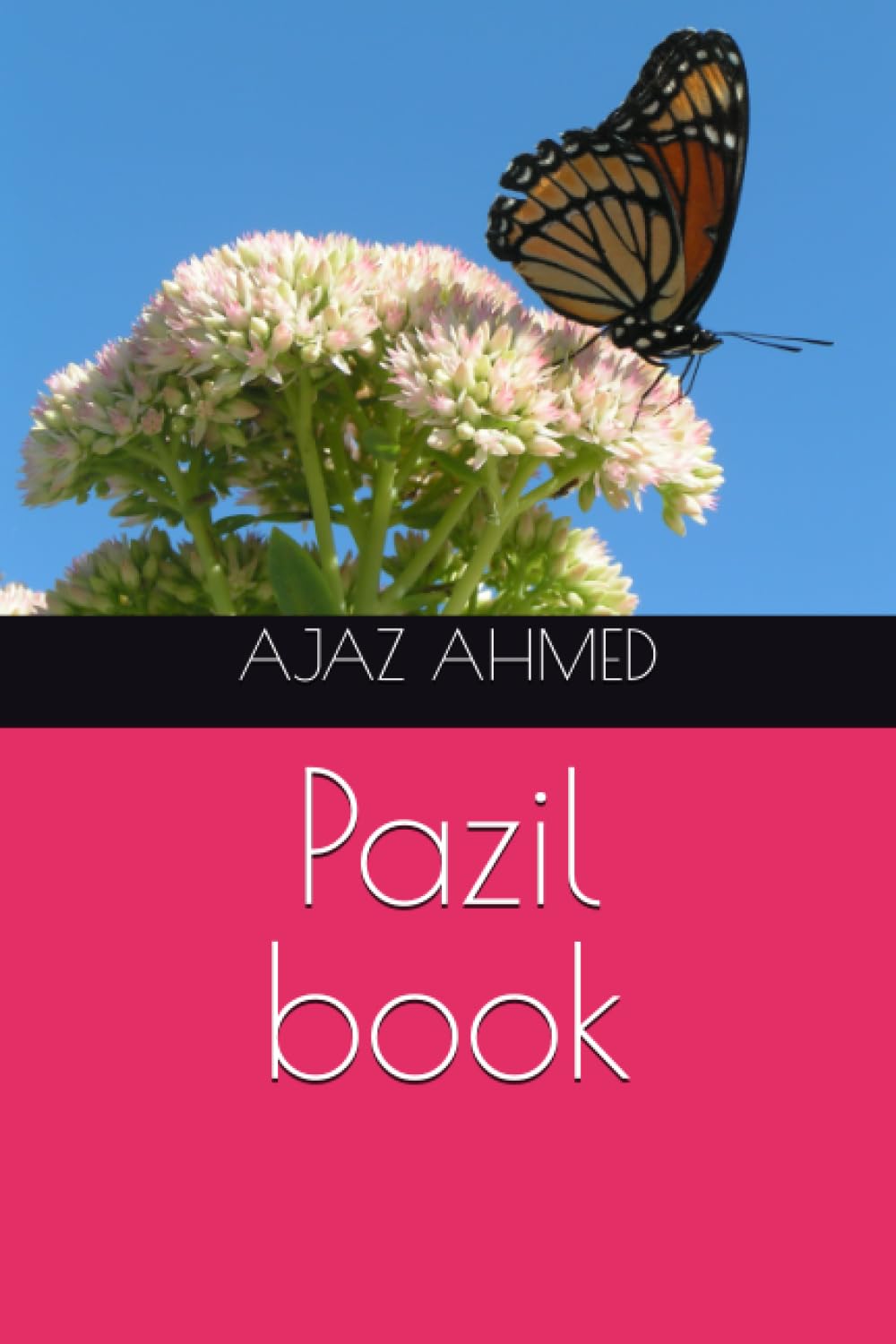 Pazil book