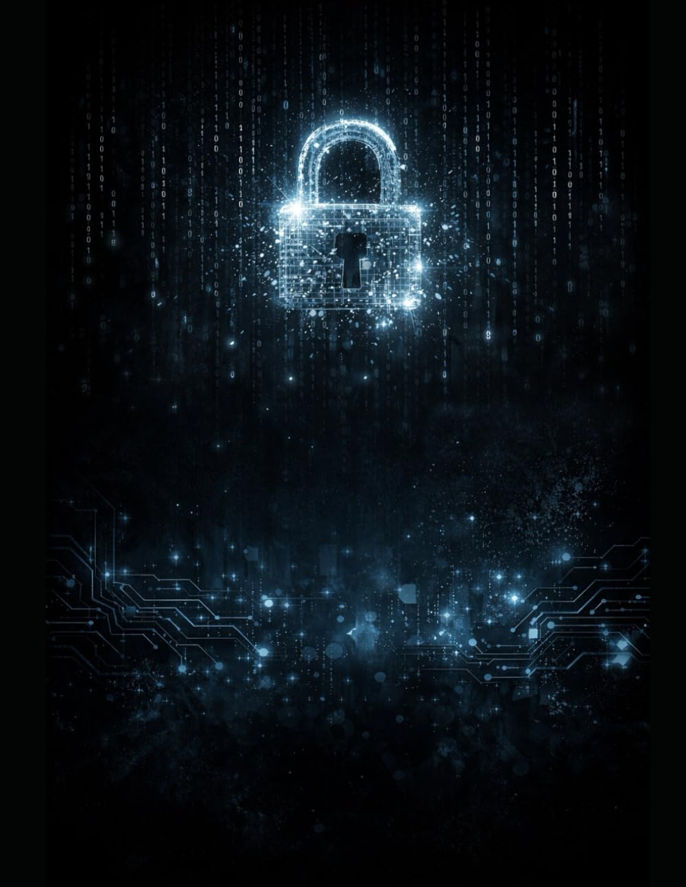 The End of Decryption – Volume II: Homomorphic Schemes, Compilers, and Secure Implementation