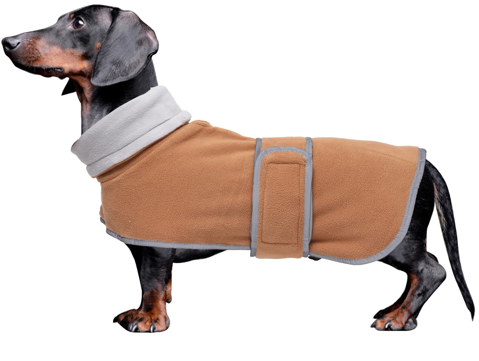 Morezi Dachshund coats sausage dog fleece coat in winter miniature dachshund clothes with hook and loop closure and high vis reflective stripe safety Brown M