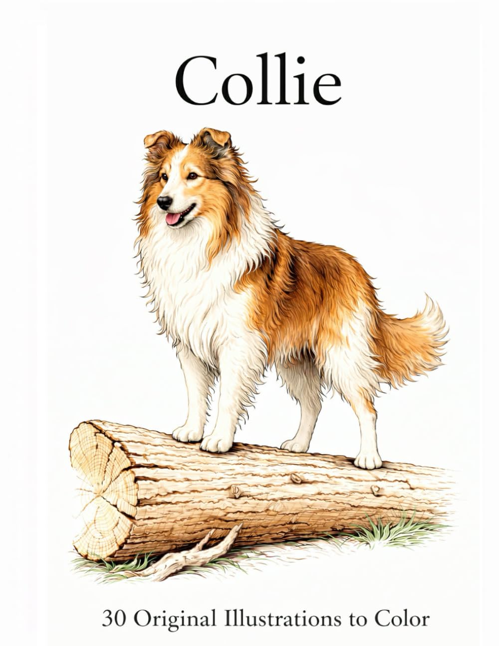 Collie: 30 original illustrations to color