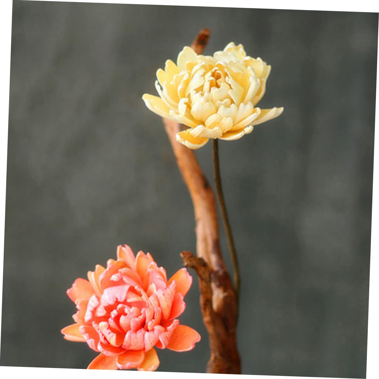 DECHOUS 6pièces Bouquet De Fleurs Séchées Naturelles Décoratif pour Décoration Intérieur Éléments De Mariage Et Accessoires De Fête