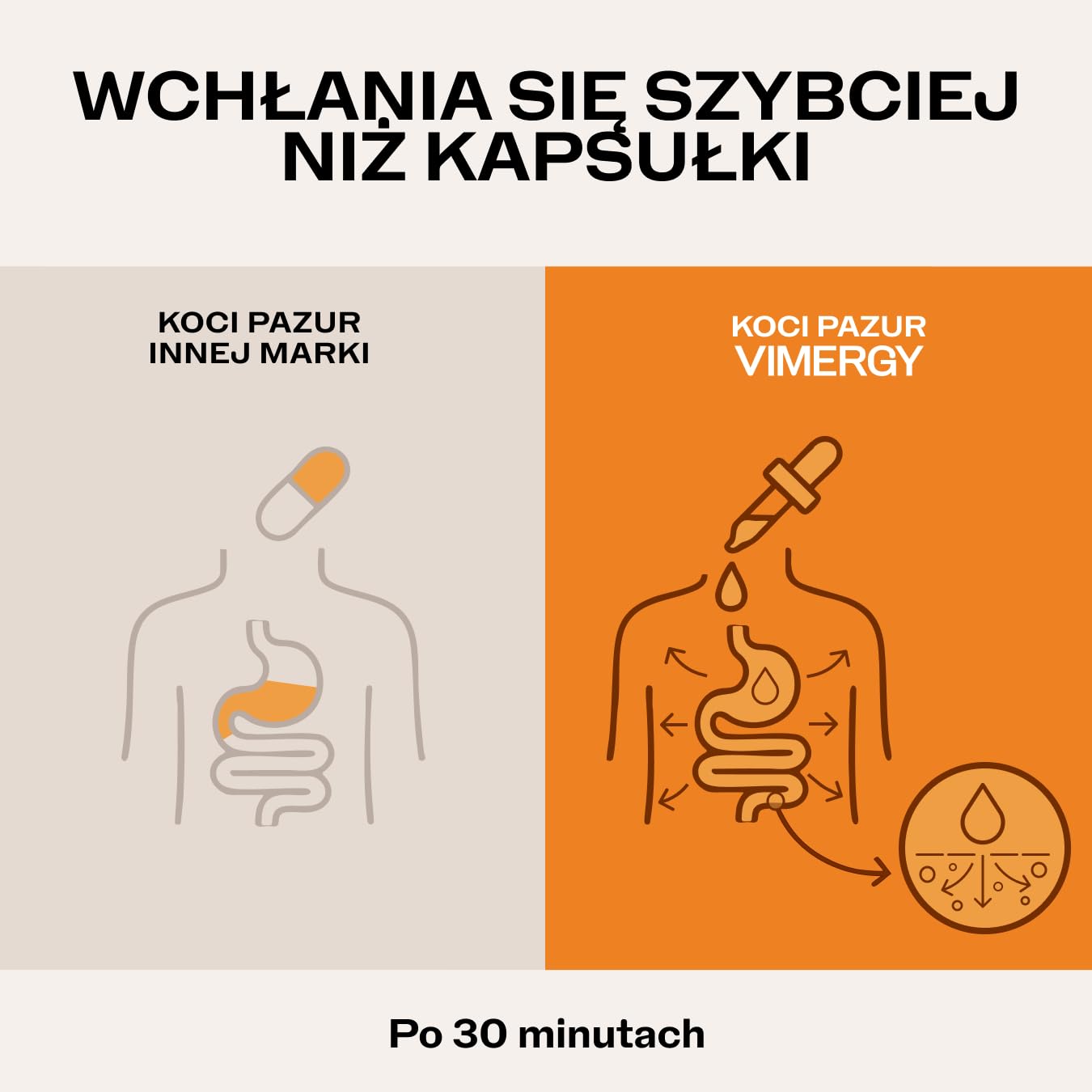 Suplement ziołowy Vimergy – Płynny organiczny Koci Pazur – Nowy, świeższy ekstrakt dla wsparcia antyoksydacyjnego – Vegański, paleo, bezglutenowy, koszerny – 120 porcji (240 ml)
