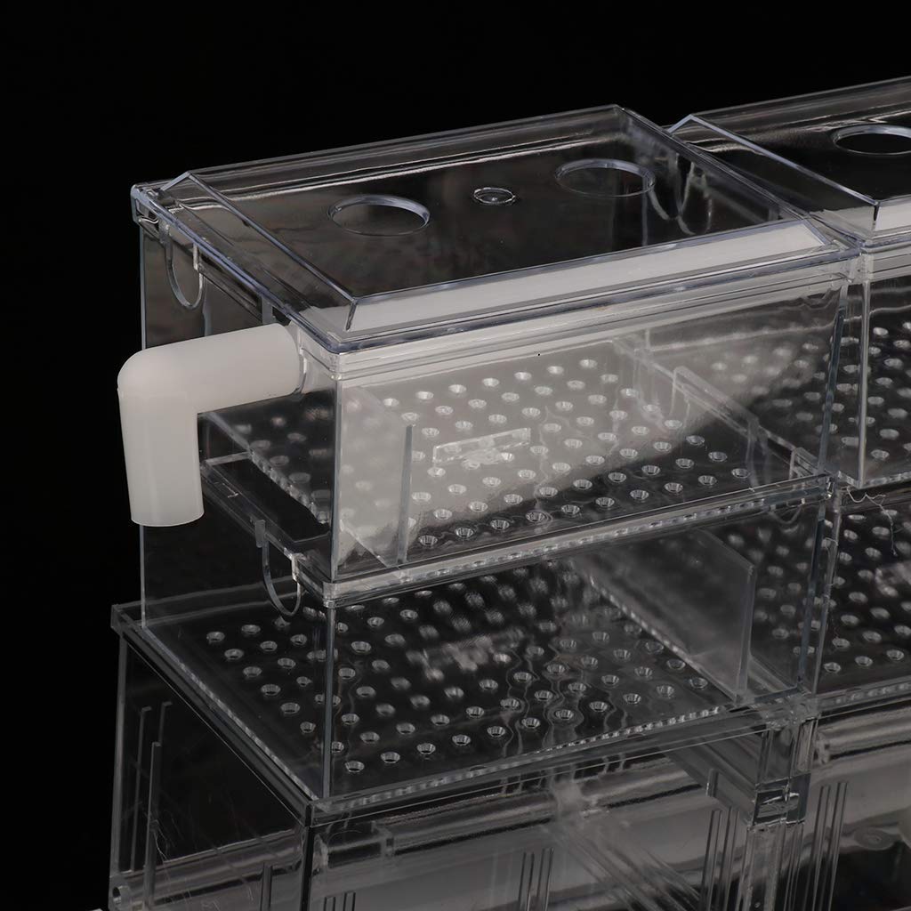 Transparent Aquarium Filter Box Filterkasten Fish Tank Filterausstattung