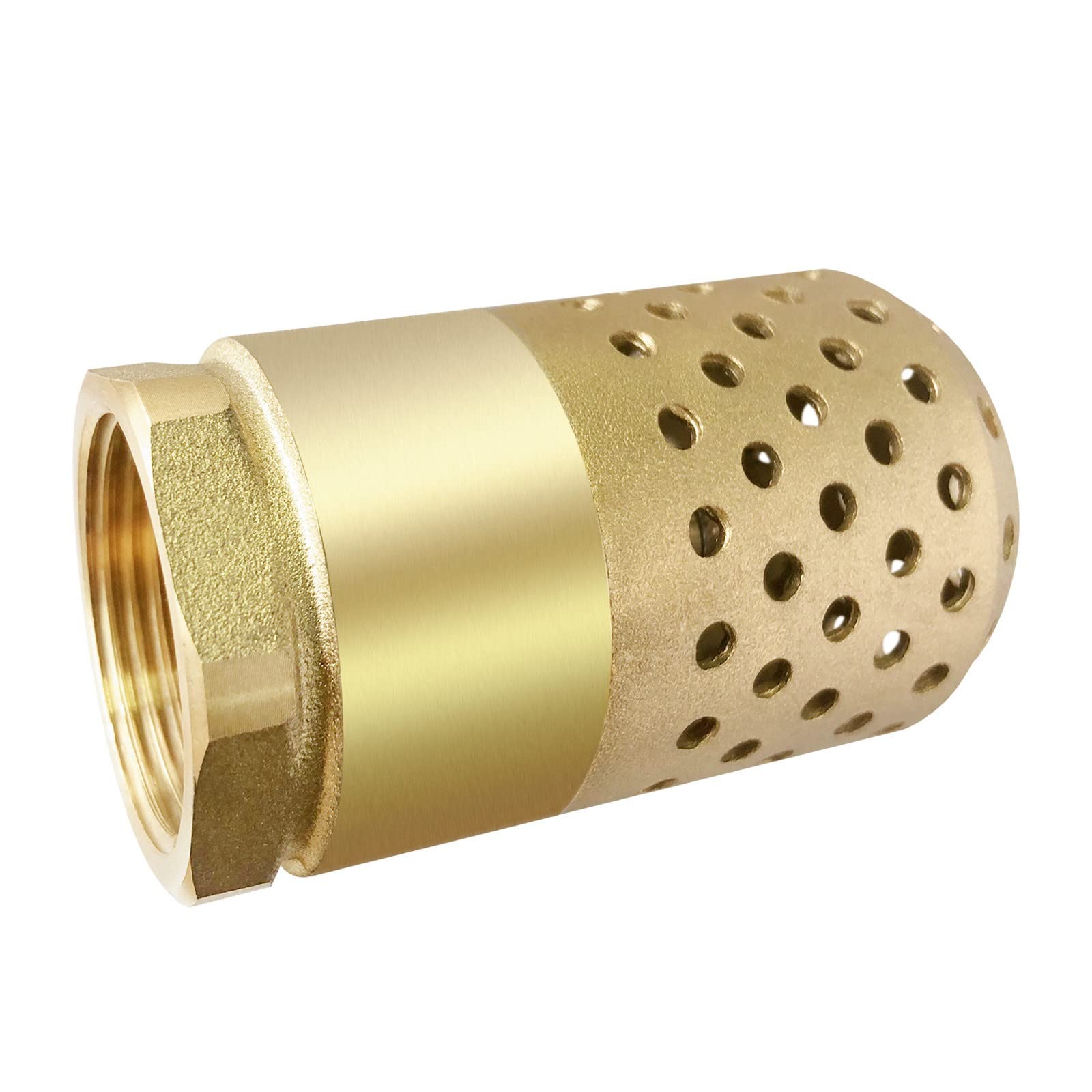 Buy Brass Foot Valve 11/4 inch NPT Heavy Duty Spring Mesh Check Valve