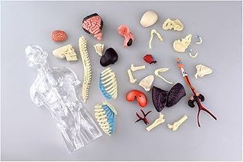 Amazon.co.jp: 青島文化教材社 スカイネット 立体パズル 4D VISION