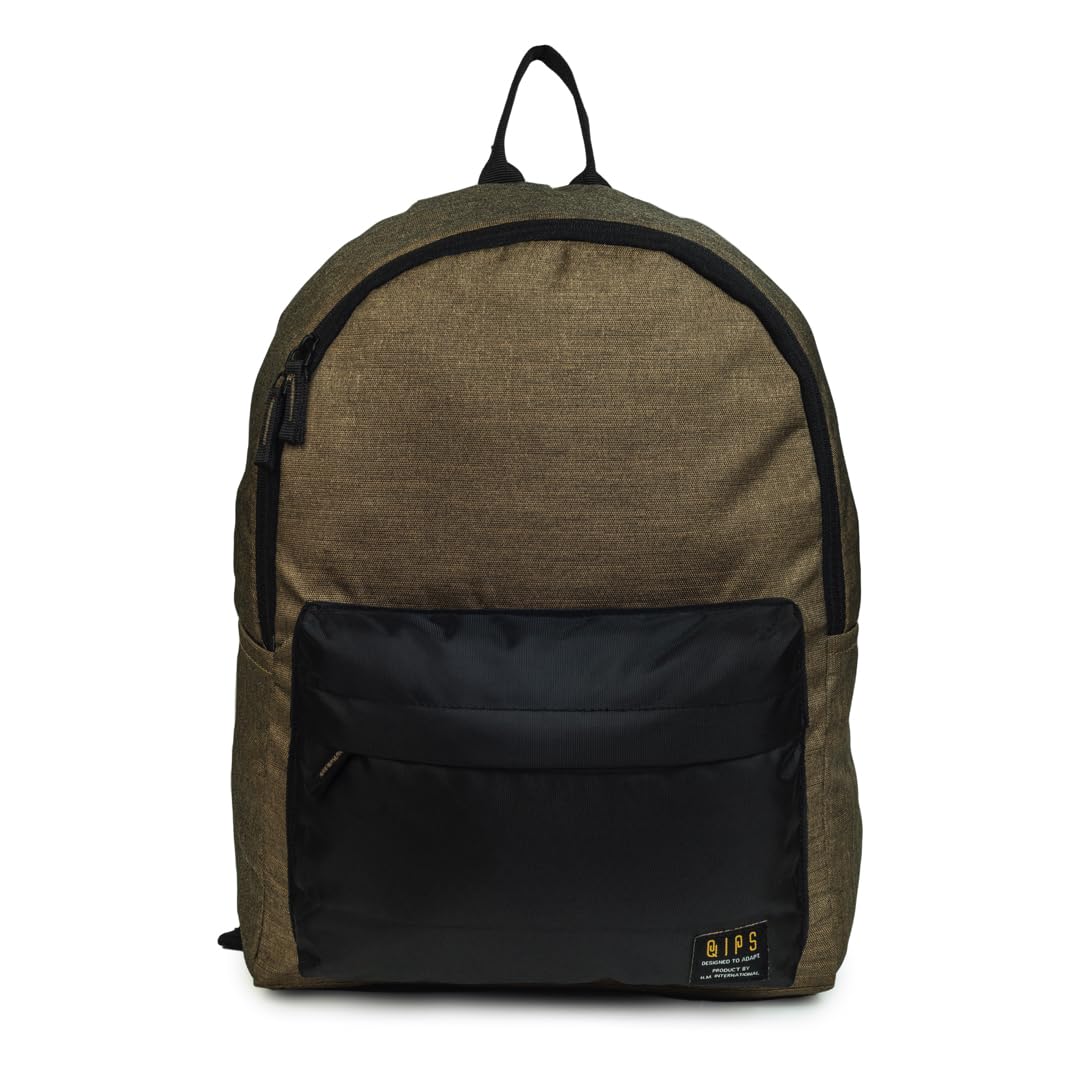 QIPS by HMI 21 ltrs 16 Inch Classic Laptop Backpack with YKK Zippers, New (Grey) (B082DCLVSG) Amazon Price History, Amazon Price Tracker