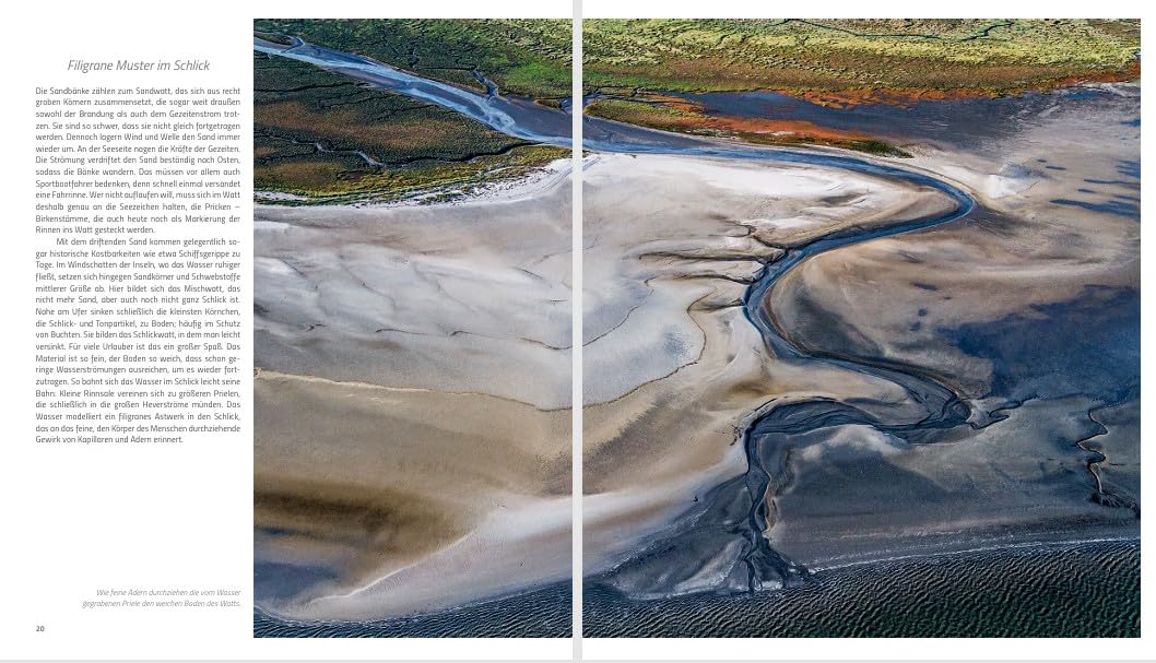 Wunderwelt Wattenmeer: Exklusive Einblicke in einen faszinierenden Kosmos