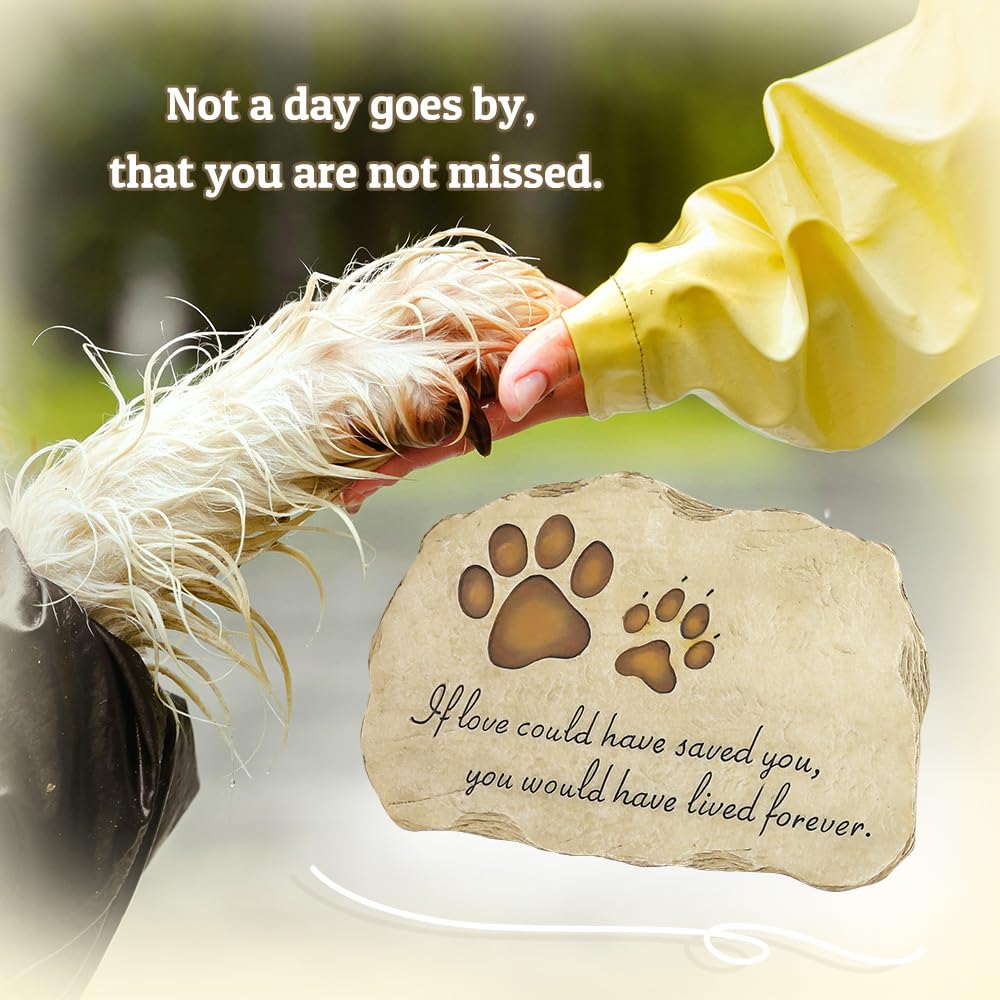 JSYS - Marcador de Piedra Conmemorativa para Perro o Gato para Jardín al Aire Libre, Patio Trasero o Césped.
