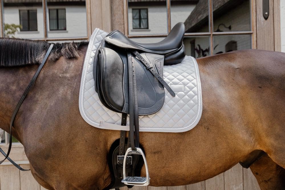 Kentucky - Manopla Diamond Rope Doma gris