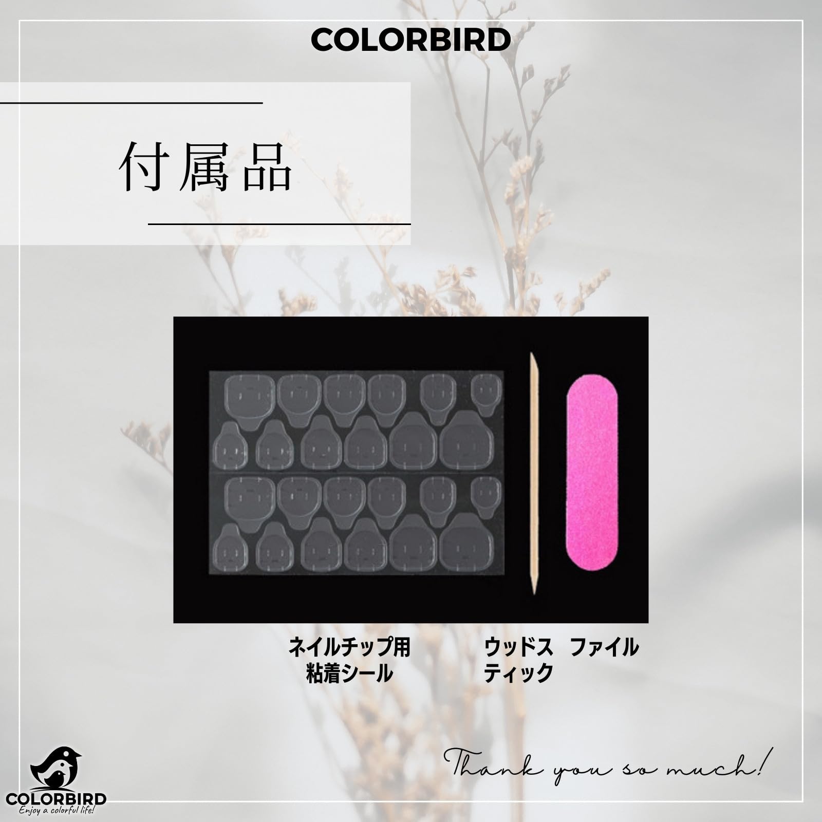 Amazon | COLORBIRD ネイルチップ ショート 24枚 ピンク ネイル 付け爪