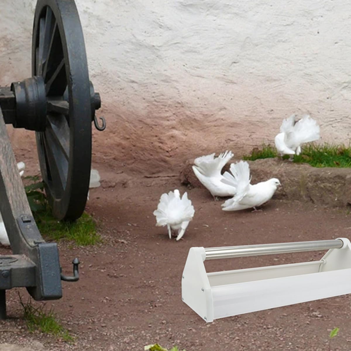 Distributeur de Nourriture pour Oiseaux 2 Pièces en Acier Inoxydable et Plastique Capacité Élevée pour Perruches et Calopsittes Usage Extérieur
