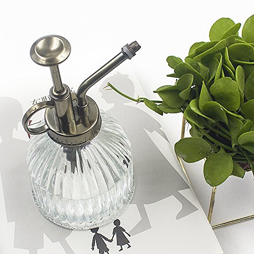 Boller Plant Mister, Glass Watering Spray Bottle with Bronze Top Pump 6