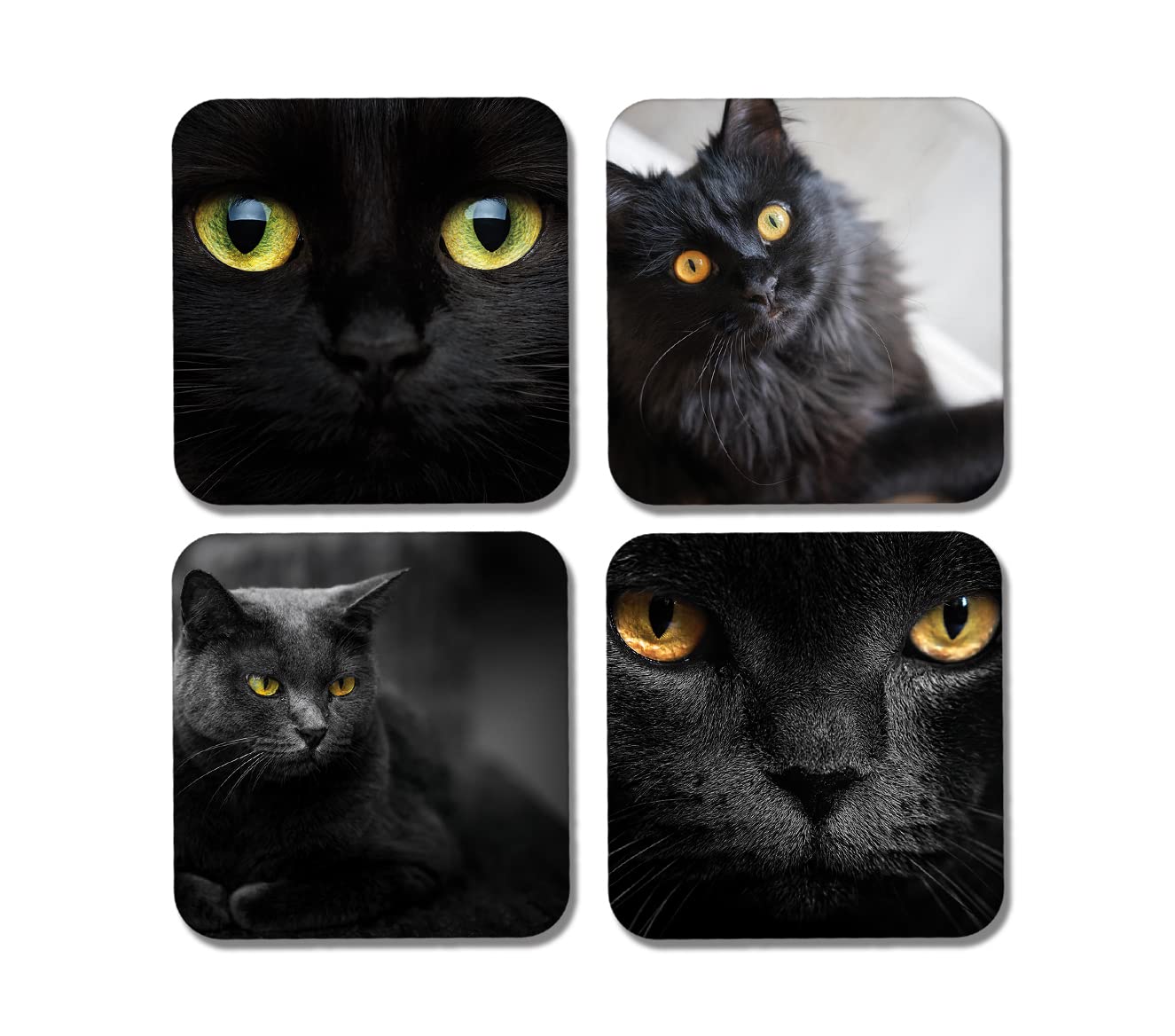 4 x Square Black Cat Coasters - Animals Pets Cats Kitten Yellow Eyes Gift #77922