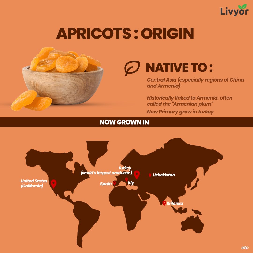 Livyor Turkish Apricots - 1kg | Dry Fruits | Dried Apricot | Khumani | Dried Apricots | Dry fruits Apricots | Rich in Fibre | Gluten Free | Pack of 1 - Image 3 thumbnail