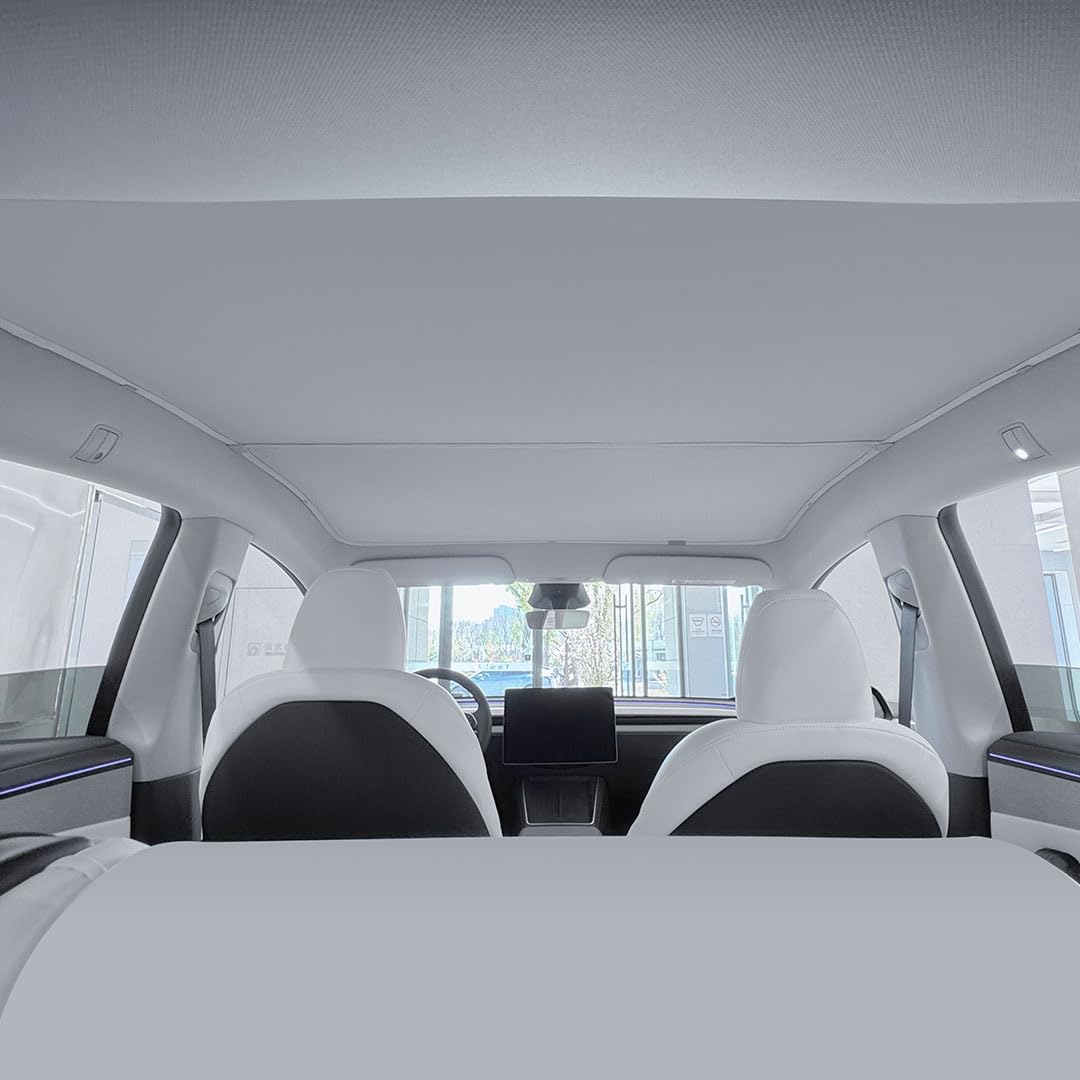 Amazon.com: VION Tesla 2026-2025 Model Y Roof Sunshades