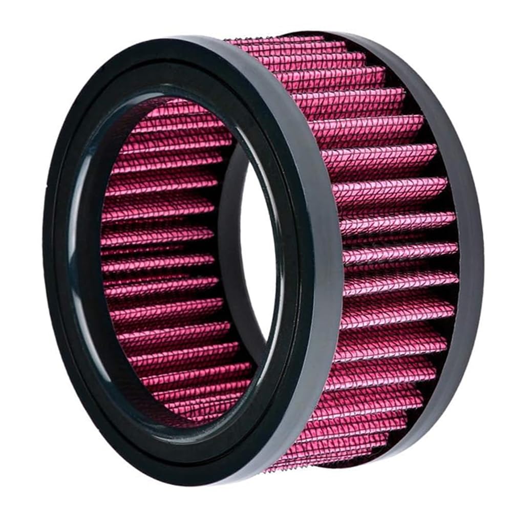 Riloer Elemento filtrante dell'aria per moto, elemento filtrante dell'aria per moto Compatibile con Harley Sportster Iron XL 883 XL1200 Sport Nightster 72 Forty-Eight 1991-2021