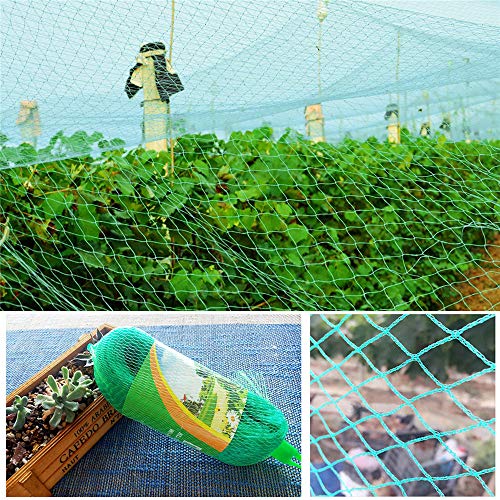 SHDT Garden Bird Netting for Plant Protection Mesh Netting for Pest Control,Pond Netting,Trellis Netting Plant Support for Climbing Plants,4 * 10M