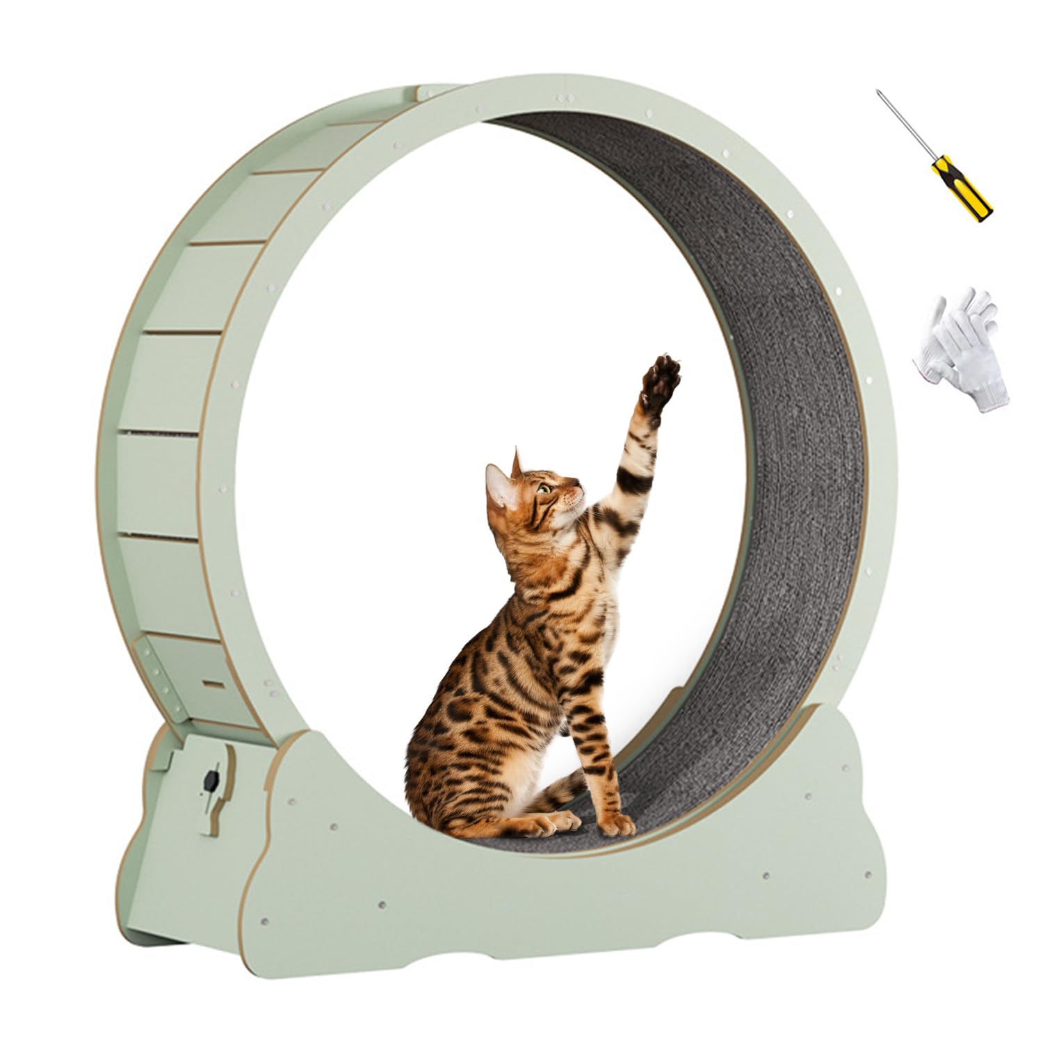 Snapklik.com : PETIARKIT Cat Exercise Wheel, Large Indoor Cat Running ...