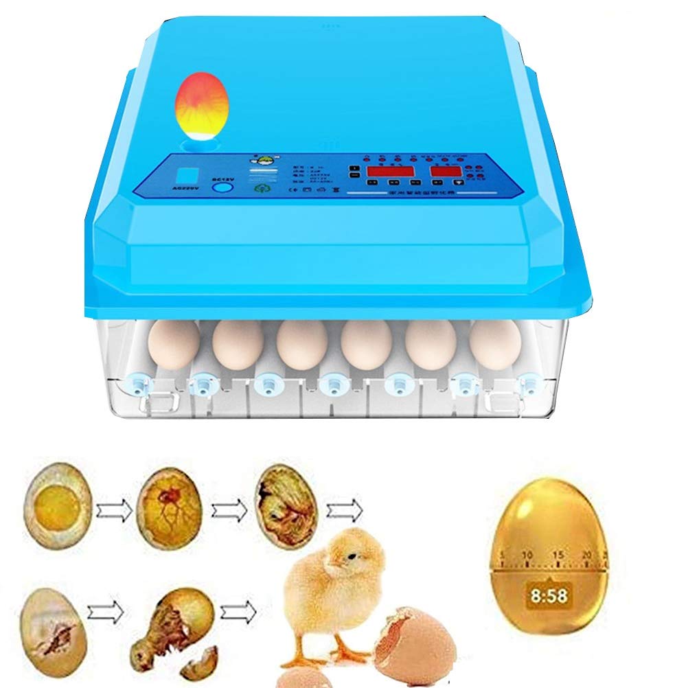 Incubatrice con girauova Automatico Controllo della Temperatura e dell'umidità della schiusa di Pollo Digitale con Display per Piccione D'Oca D'Anatra (Dimensioni : 9egg)