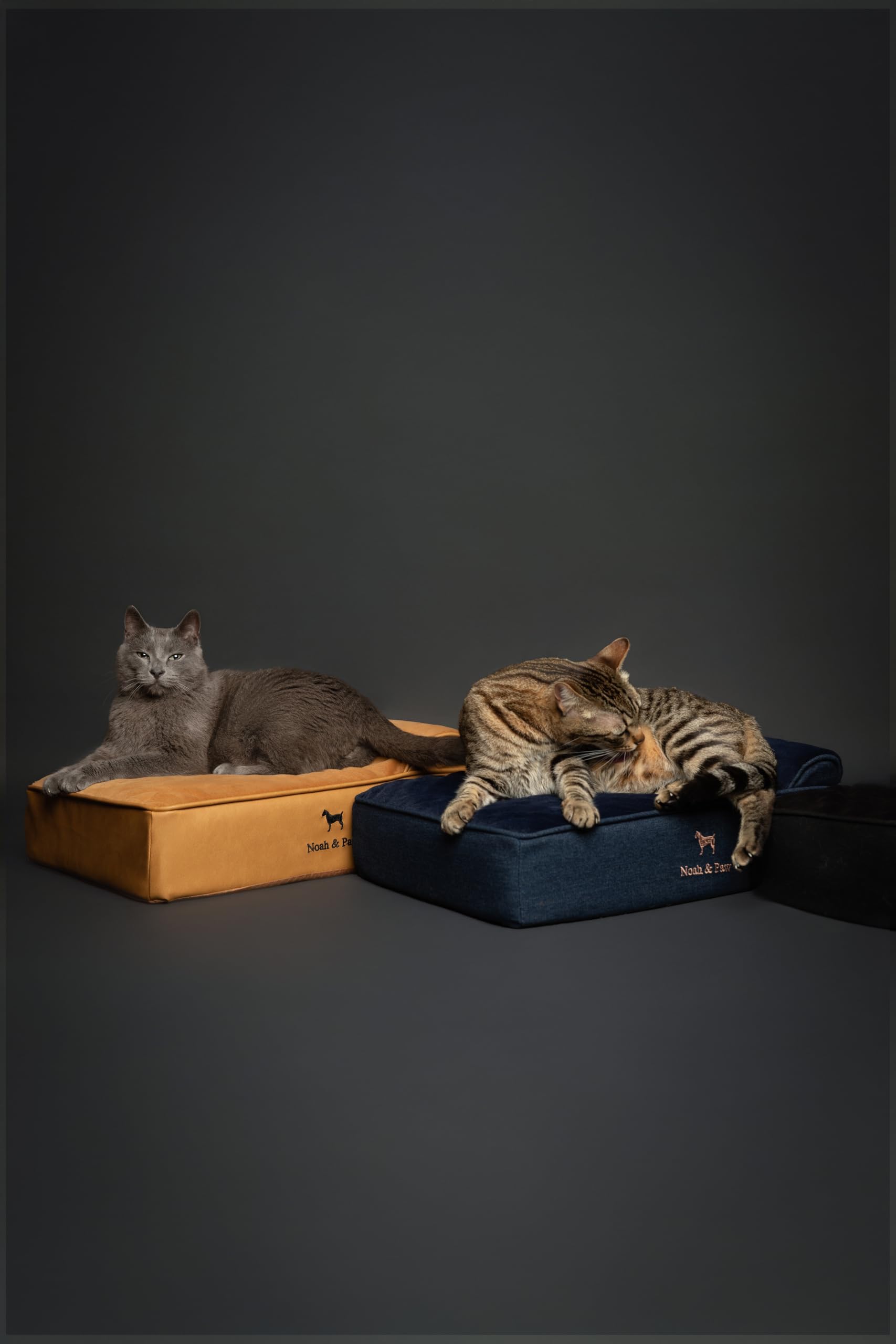 NOAH & PAW Small Dog Bed, 20x15x8 Inch, Cat Bed for Indoor Cats, Orthopedic Eggshell Memory Foam Infused with Cooling Gel, Waterproof, Machine Washable, Includes Inner Cover (Denim Collection)