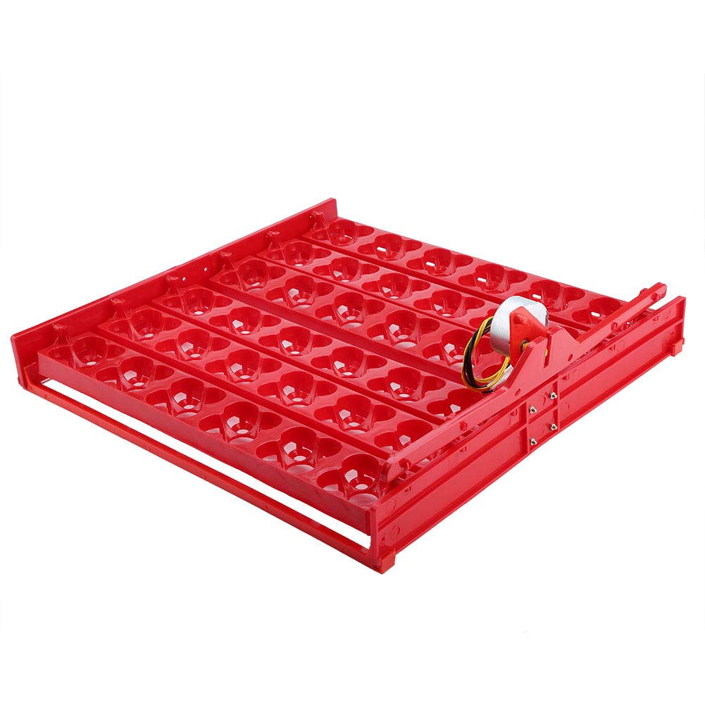 Tyenaza Bandeja Volteo Incubadora, 36 huevos/144 incubadora de Huevos de Pollo Incubadora Automática Pato Codornices Aves Aves de Corral Bandeja de al Incubadora de Huevos(43 x 41,7 x 5,2 cm)