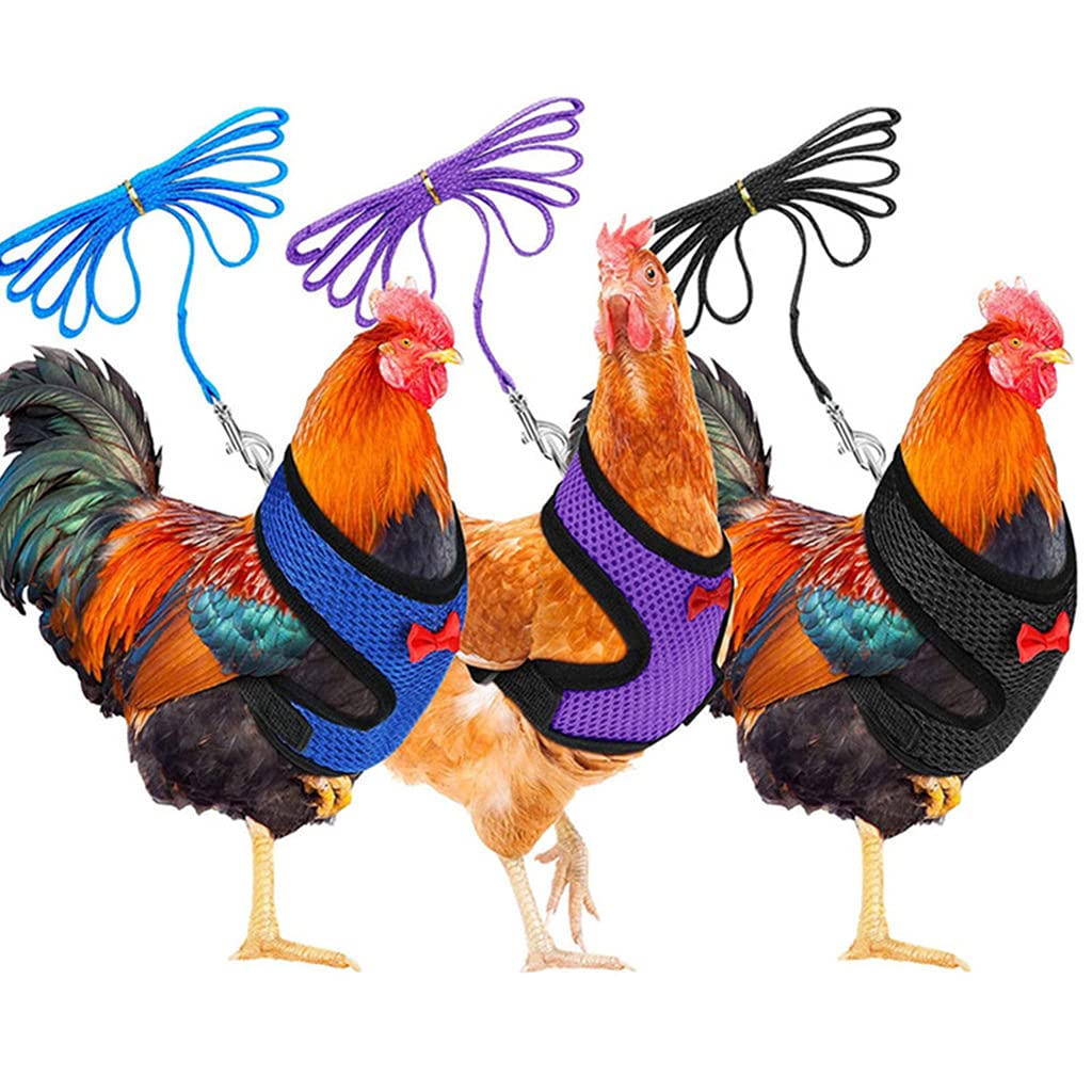 FGDTREE Chicken Harness 3 Size with Matching Leash Comfortable Breathable Fashionable Hen Vest Suitable for Duck Pet Rooster Harness with Leash Small Large