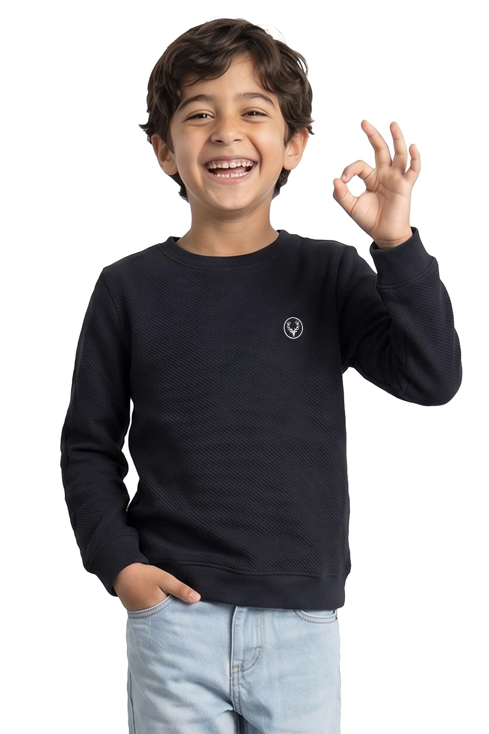 Allen Solly Boys Sweatshirt-image-33