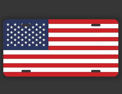 Placa de matrícula de metal para automóvil, camión, 12 x 6 pulgadas, resistente a los rayos UV, impresión UVP016