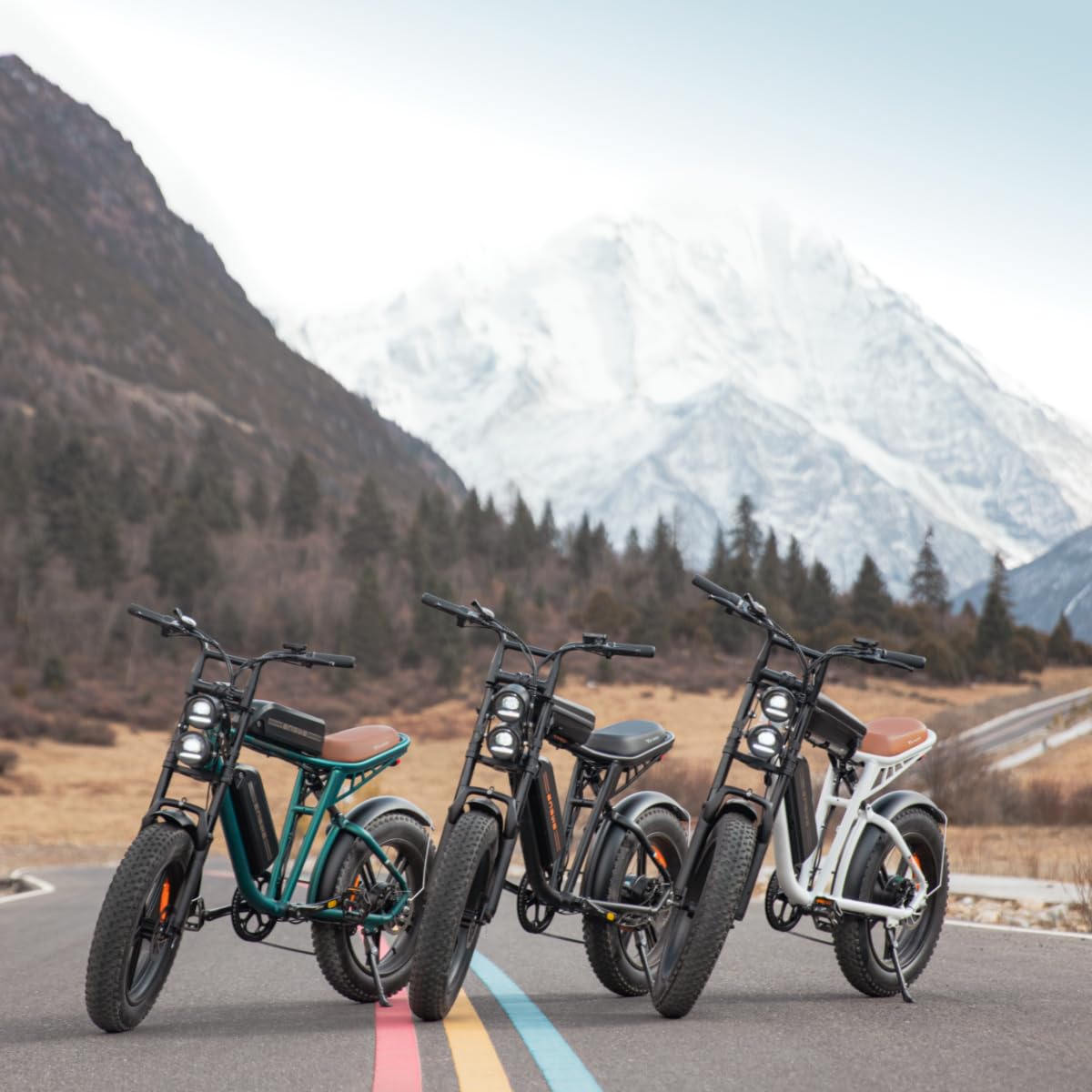 ENGWE M20 Bici Elettrica Per Adulti, Batteria Rimovibile Da 48V 26AH, Bicicletta Elettrica Fuoristrada, Pneumatici Larghi Da 20" * 4.0", Fino a 150KM Doppia Sospensione