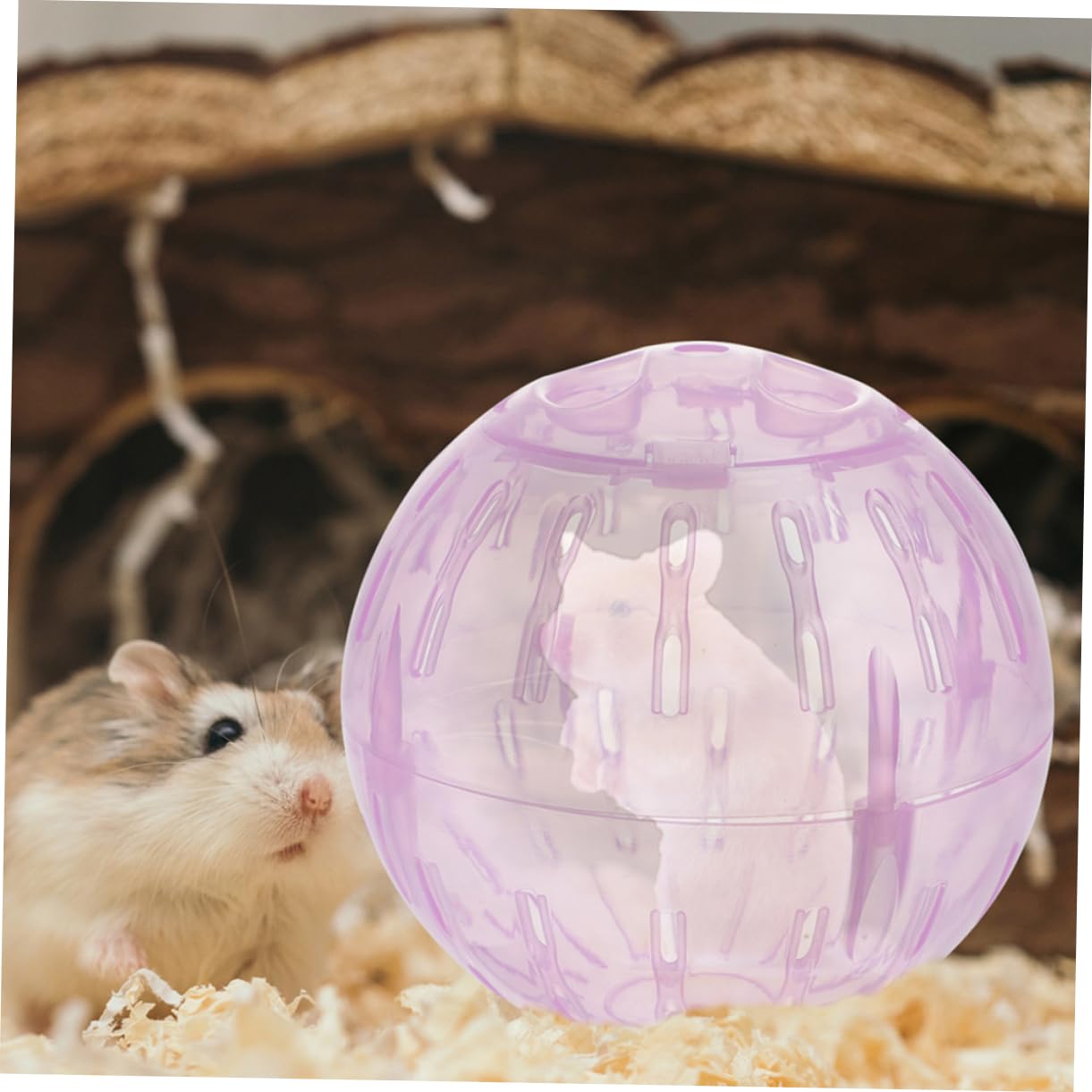 WOONEKY 3pcs Small Pet Running Balls Hamster Exercise Balls Abs Plastic for Hamster Guinea Pig Gerbil