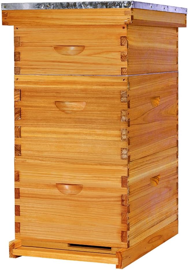 POLLIBEE 8 Frame Beehive Kit 100% Beeswax Dipped Complete Beehive Starter Kit with 2 Deep Hive Boxes and 1 Medium Super Bee Box, Beehive Frame and Foundation Sheet 3 Layers