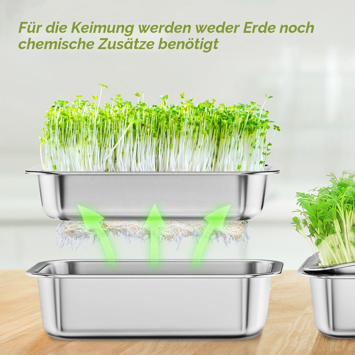 FANHAO 2er-Pack Sprossenschalen-Set, Edelstahl, bodenfreie Kultivierung, Keimschale, gesunder Weizengras-Züchter, Sprossenbehälter-Set, Kindergartentablett für Innenpflanzensämlinge