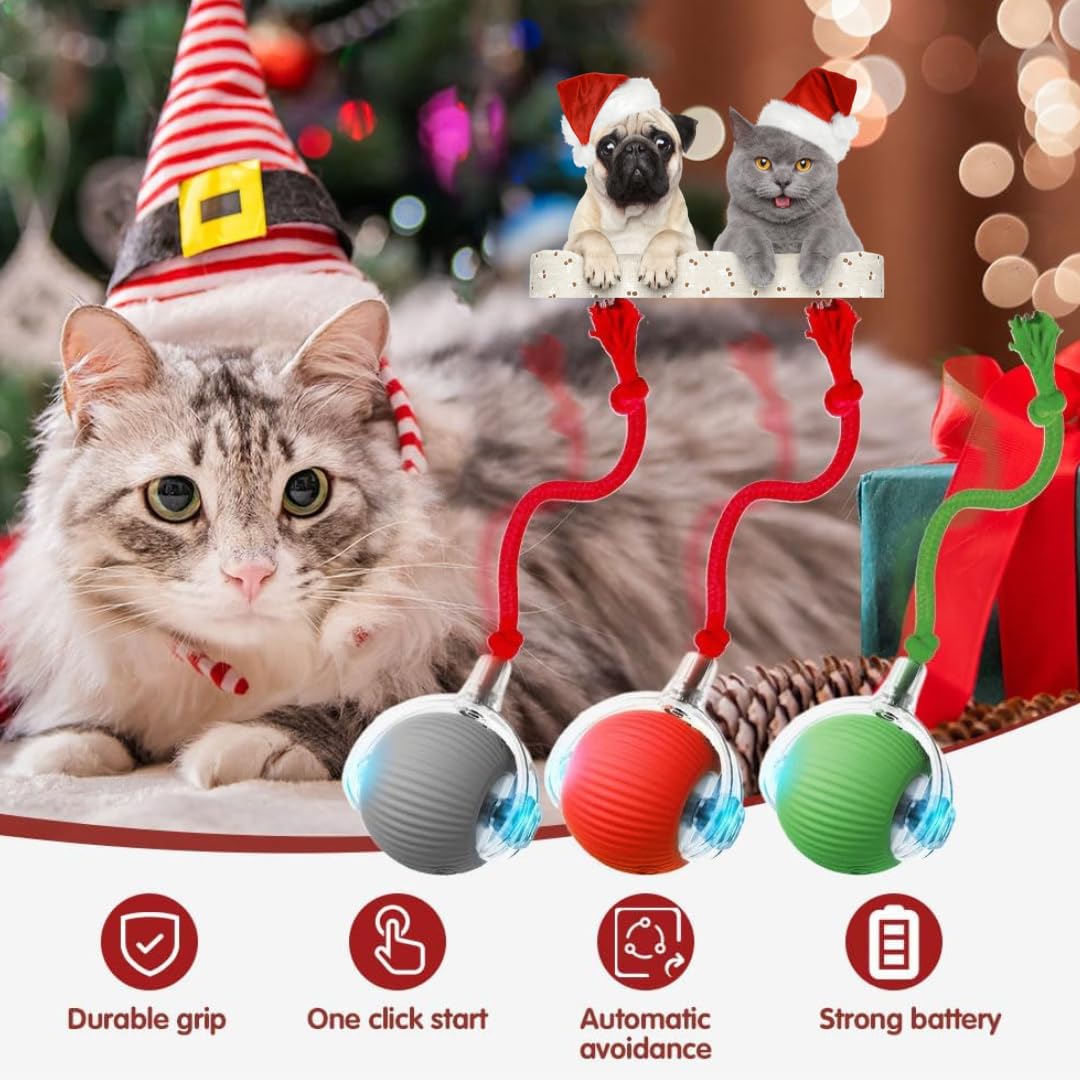 Naturaceutica's Interactive Electric Automatic Rolling Moving Rechargeable Self Play Stimulation Toy,Smart Pet Chase Ball With Speedy Tail Rope For Bored Indoor Cats Enrichment(Red) 3