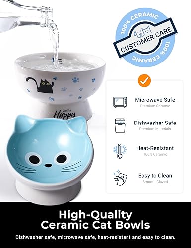 Miniatura 6 de AISBUGUR Juego de 2 cuencos de cerámica para gatos, diseño elevado de 15 inclinados para gatos de interior, gran capacidad, fácil de limpiar, base