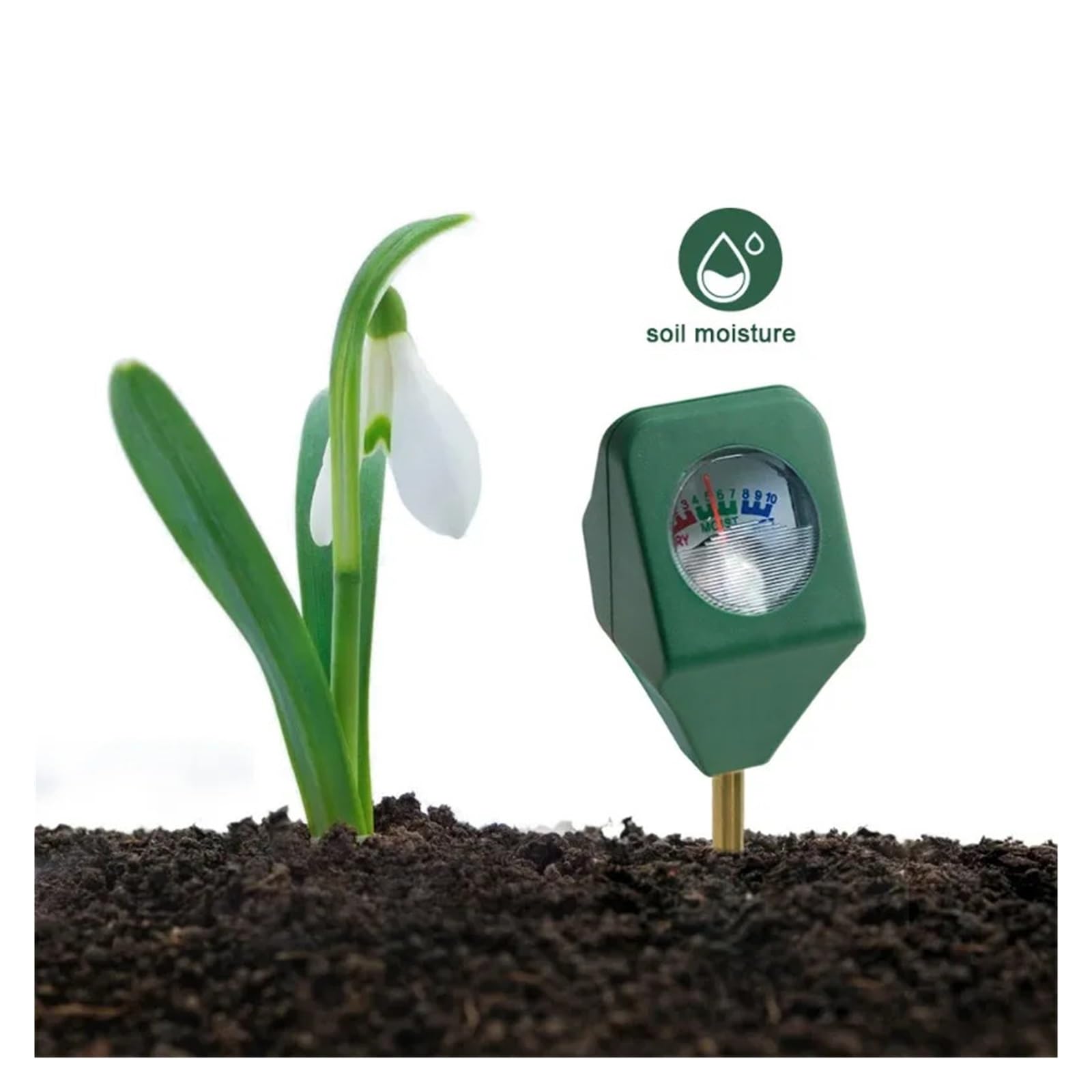 Mini Misuratore Del Tester Suolo For Il Giardino Prato Pianta Strumento Sensore Di Umidità/luce/pH Umidità Igrometro Letture Precise
