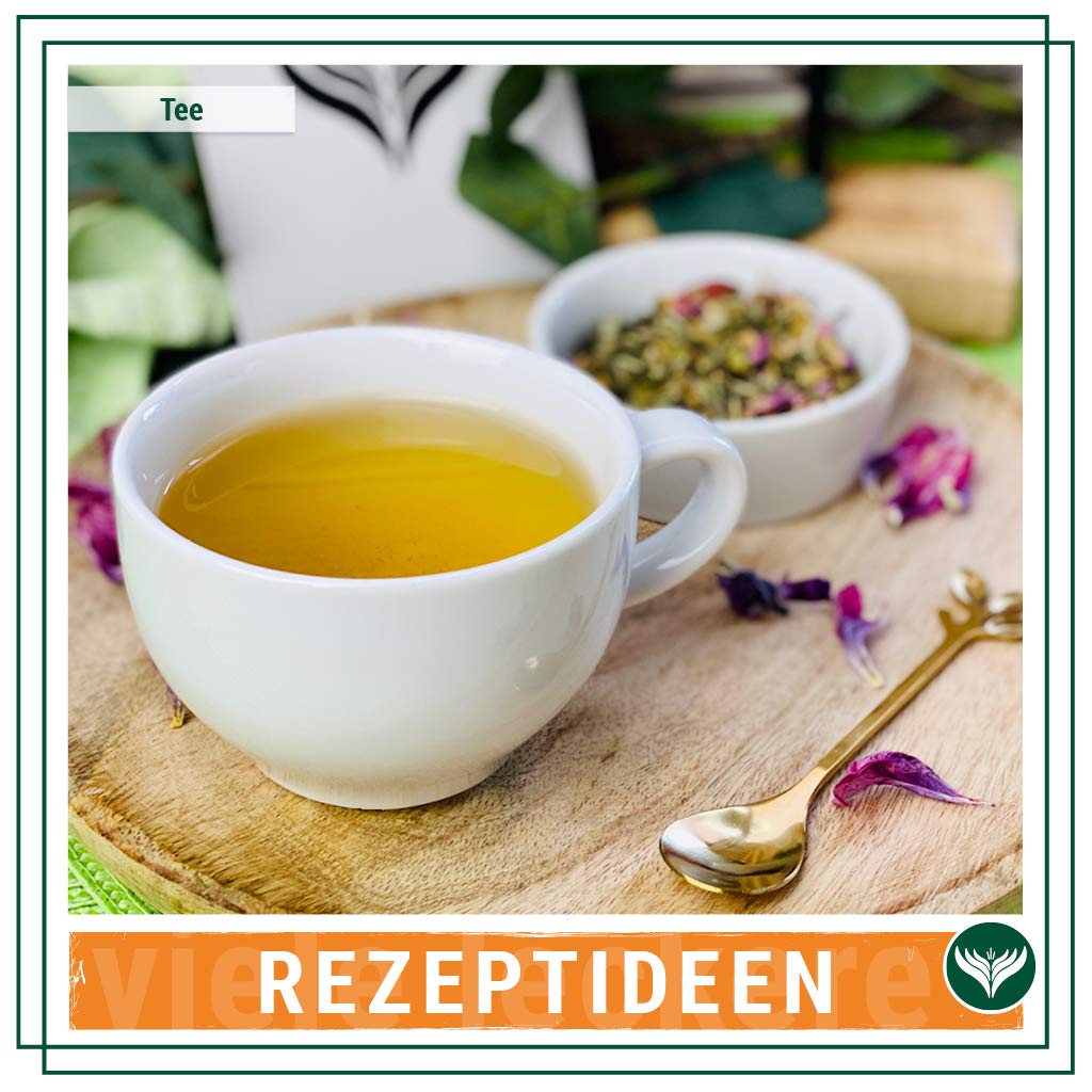 Azafran BIO Fasten Tee Sencha Kräutertee als Fastenkur Ergänzung 1kg | Sanft-herb für bewusste Teezeiten