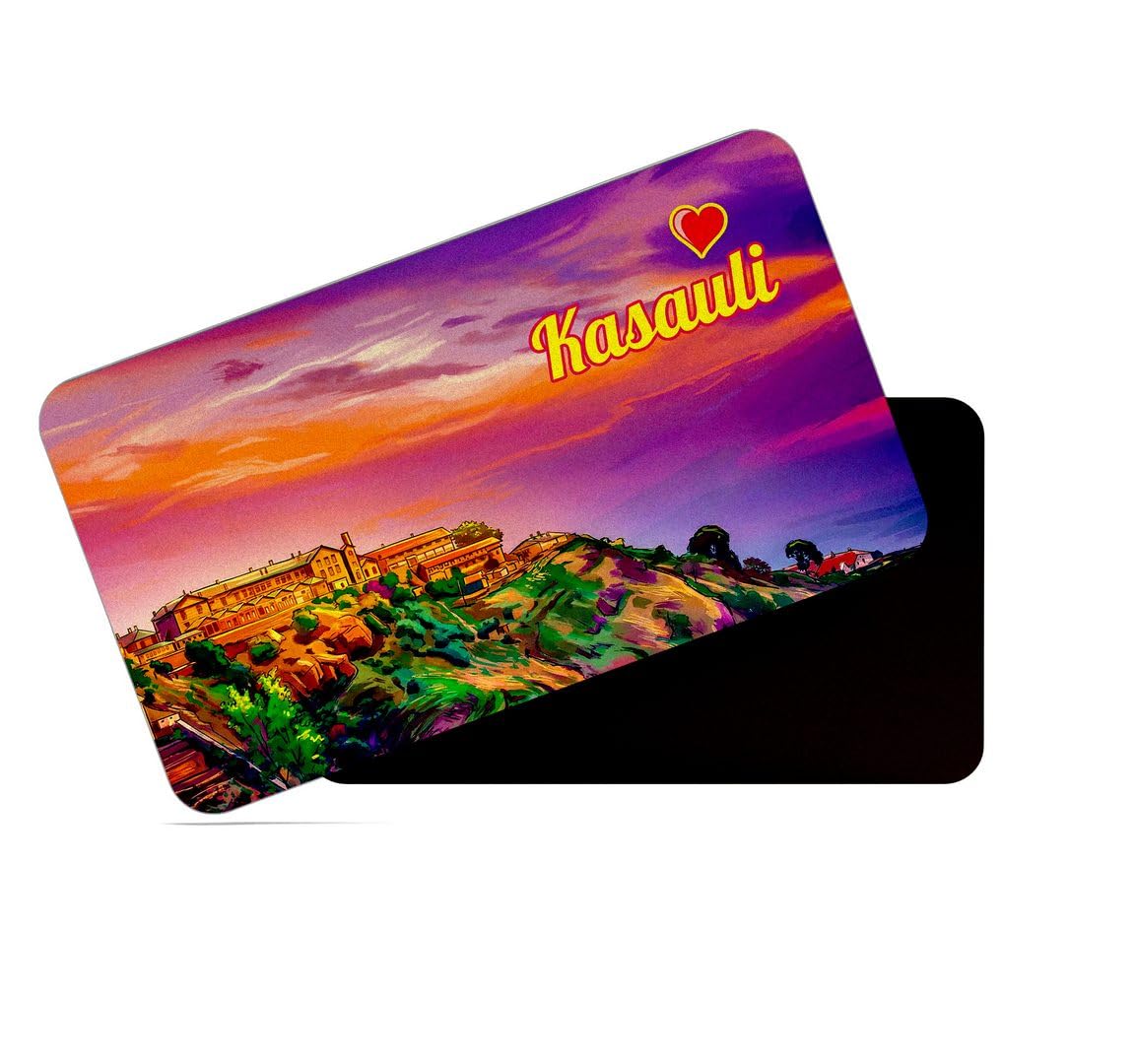 Nepal Fridge Magnets - Multicolor Pack -26