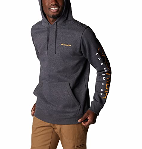 Image of Columbia Men CSC Basic Logo II Hoodie