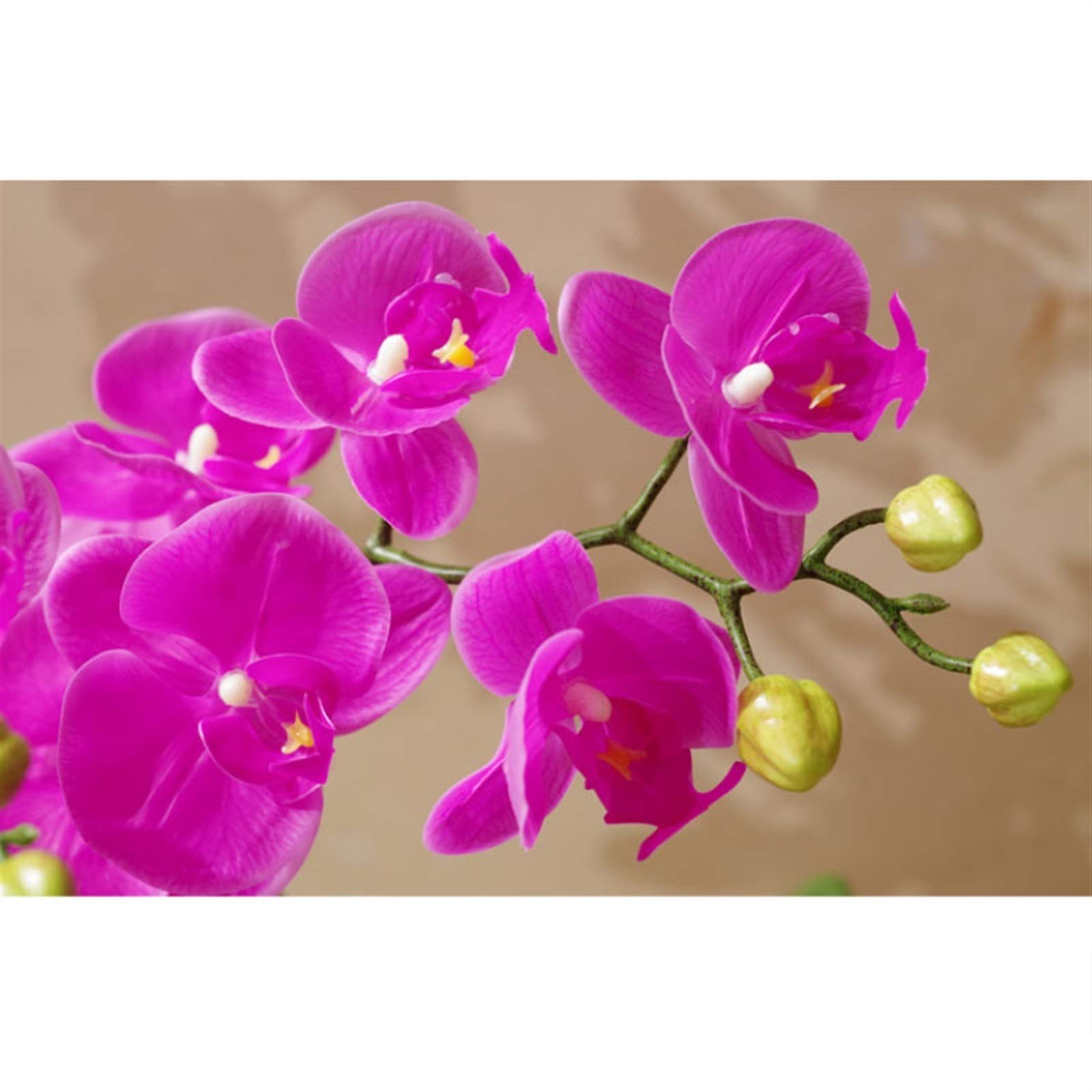 LUUYYI Flores artificiales artificiales de orquídeas artificiales Phalaenopsis orquídeas en macetas, flores de poliuretano falsas, plantas de Phalaenopsis, bonsái, decoración del hogar, Weddi (rosa)