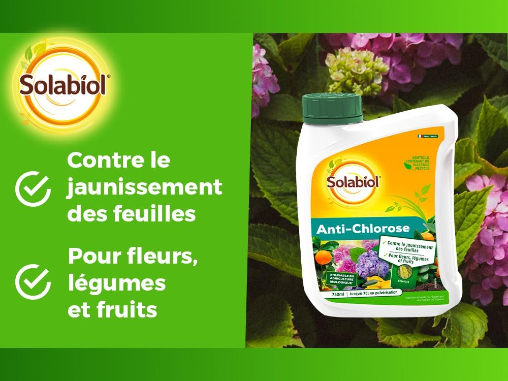 SOLABIOL Anti Chlorose Catalfer - 750ml - Jusqu'à 75L En Pulvérisation - Contre Le Jaunissement Des Feuilles - Convient Pour Les Fleurs Légumes & Fruits SOCAT750N