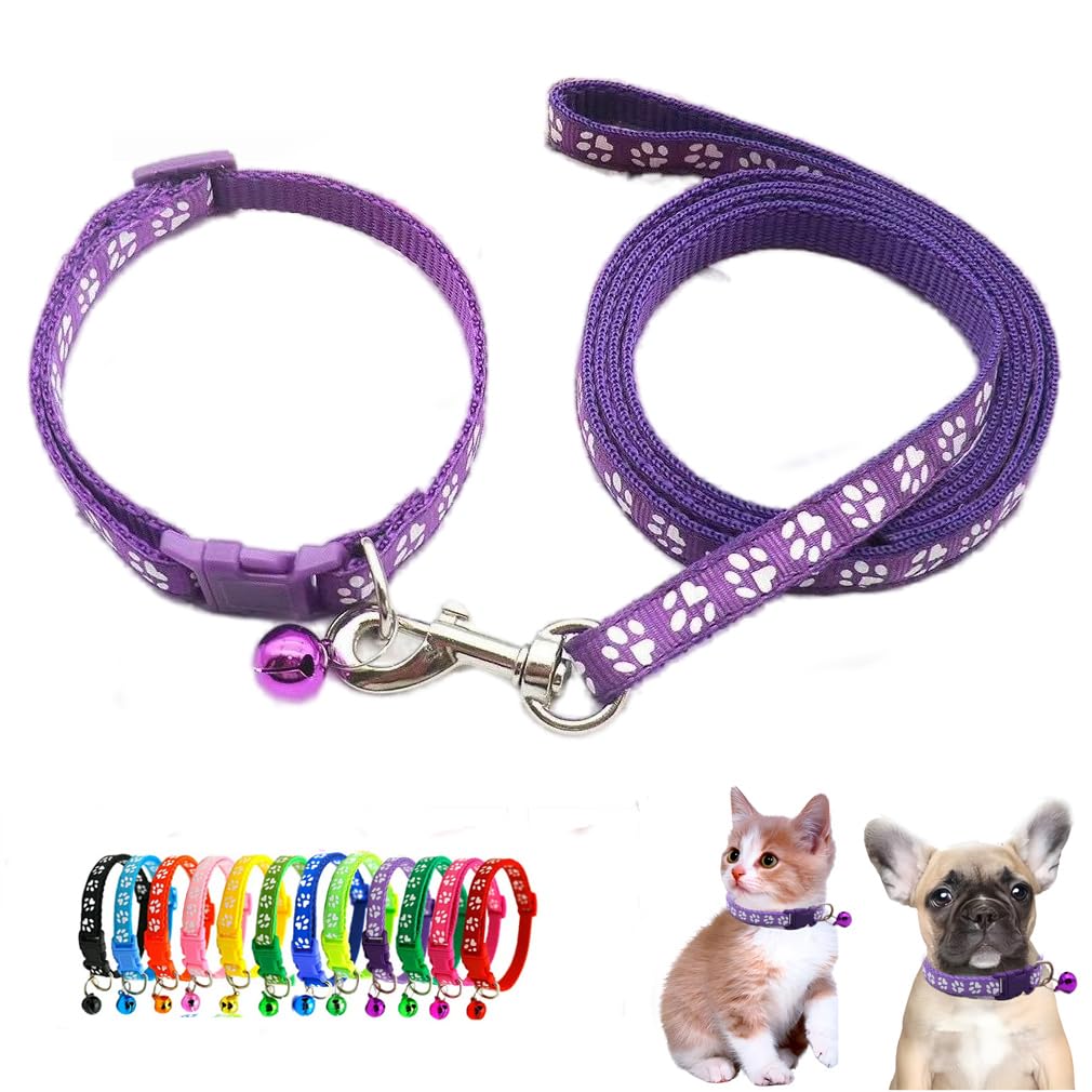 Collier réfléchissant XXS pour ne plus perdre son petit chien de vue