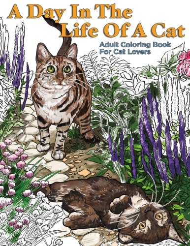 A Day In The Life Of A Cat: Adult Coloring Book Paperback – 7 Dec. 2016
