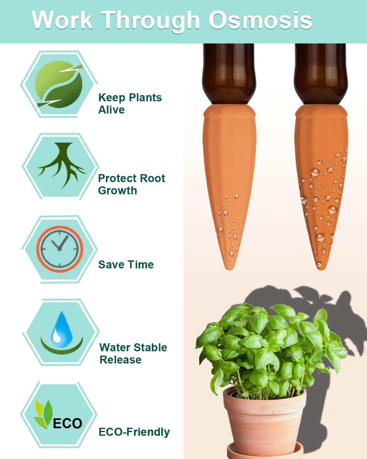 vensovo Terracotta Self Watering Spikes - Image 4